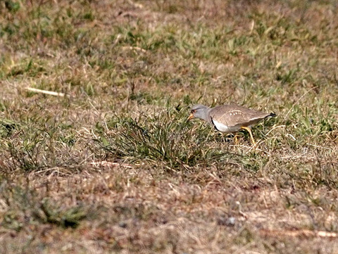 P1265144[1]