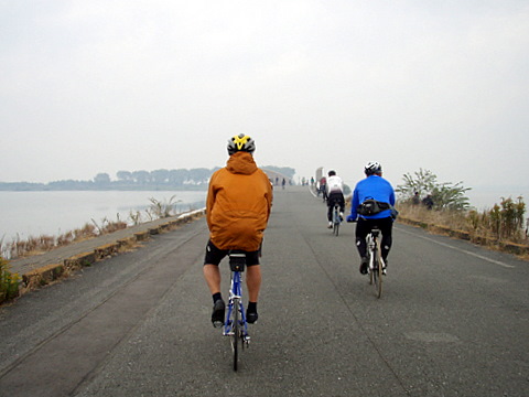 野田