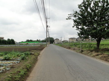 DSC03649