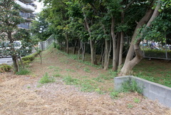 DSC04483