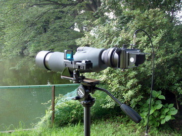 P7030021