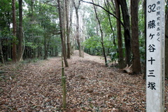 DSC02182