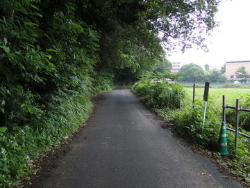 DSC03665