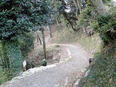 DSC01580
