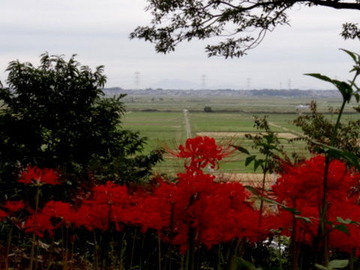 DSC00559