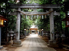 DSC00844