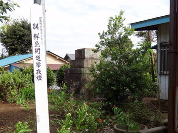 DSC00543-1