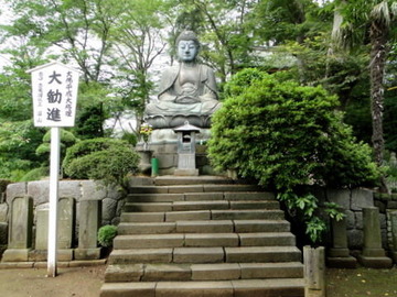 DSC03678