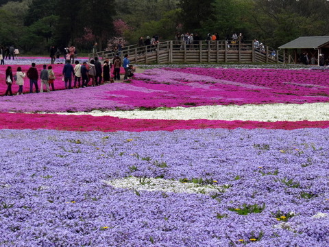 DSC04251
