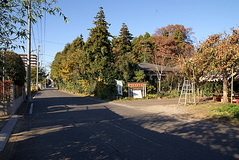 �ս�