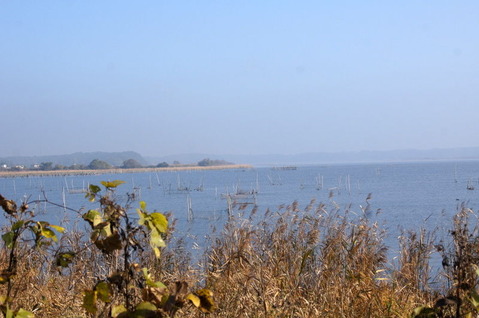 DSC06473