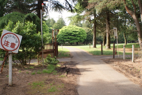 DSC05013
