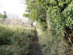 DSC01644