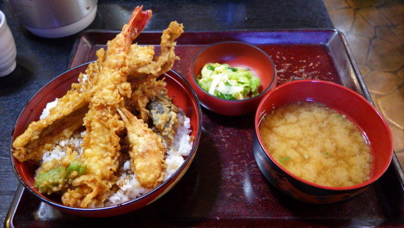 蘭学とコスモスと天丼 頭も心も胃袋も充実のポタでした 笑 東葛人的道楽 蘭学とコスモスと天丼 頭も心も胃袋も充実のポタでした 笑 東葛人的道楽