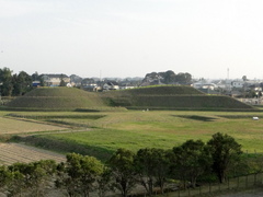 DSC01199