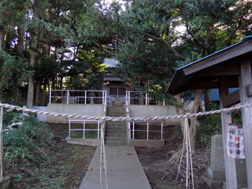 DSC00393