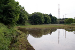 DSC05002