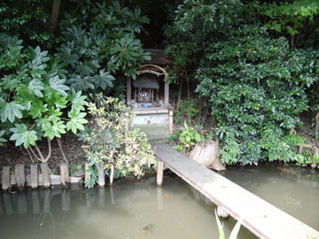 DSC03238