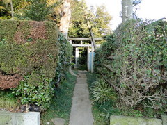 DSC01665