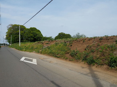 P4294052