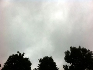 写真 12-06-06 8 09 08