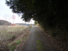 P2210015