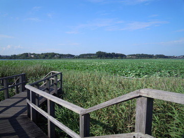 DSCN0134
