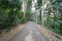 DSC02179