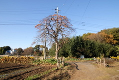 �ս�