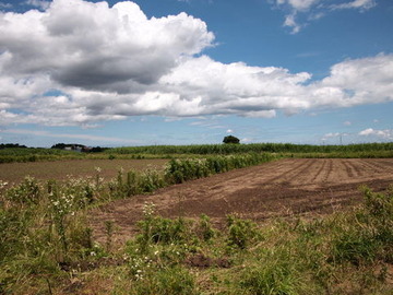 P6102259