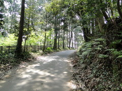 DSC02039