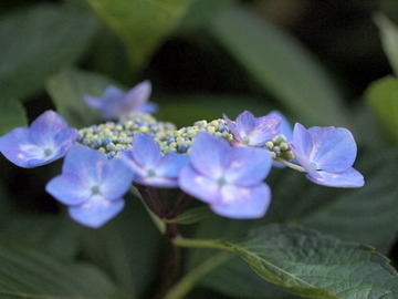 P6172387