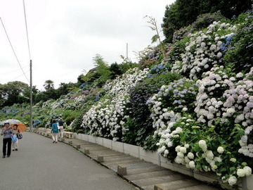 DSC03635