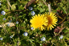 DSC02262-1