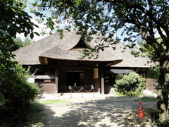DSC00798