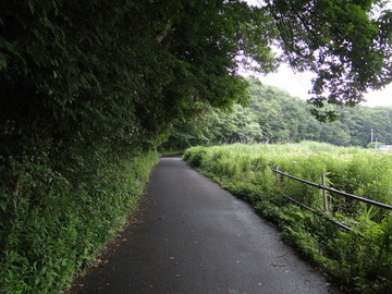 DSC03662