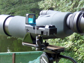 P7030021-1