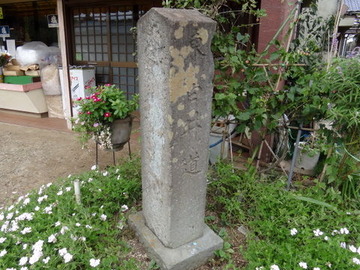 DSC00535
