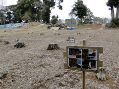 DSC01577