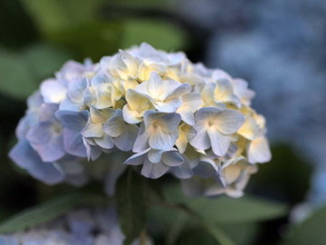 P6172386