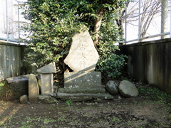 DSC01647