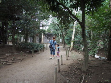 P9070551
