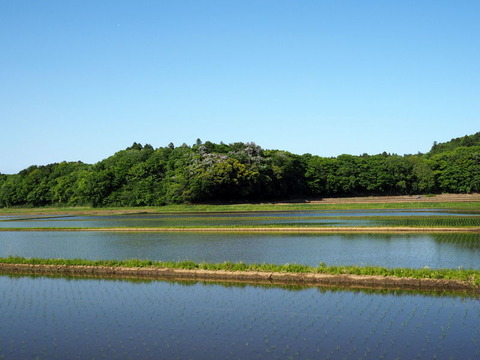 P5024088