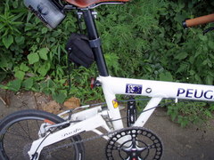 P8140042