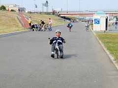 リカ
