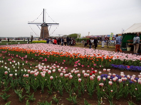 DSC04219