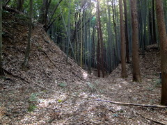 DSC01606