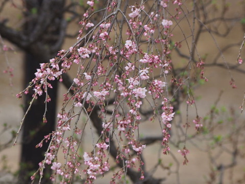 P3293901