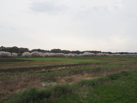 P4090533_s