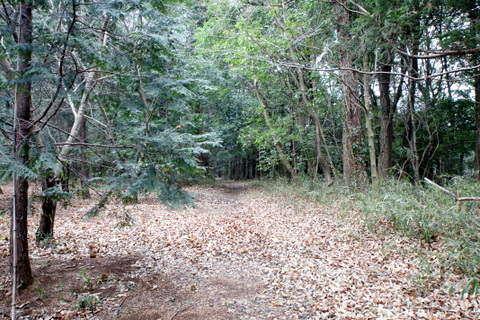 DSC02197